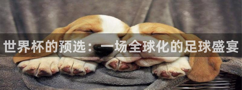 世界杯葡萄牙赛程:世界杯的预选:一场全球化的足球盛宴