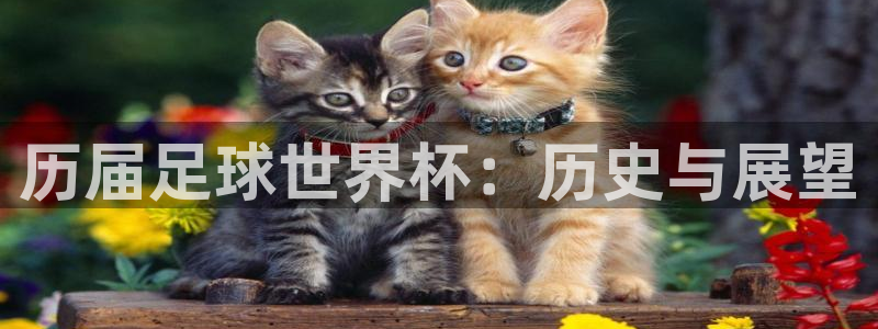 世界杯2026预选赛:历届足球世界杯:历史与展望