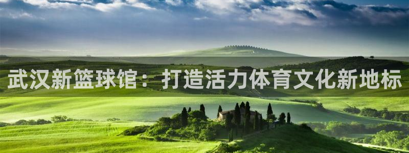 足球世界杯2026:武汉新篮球馆:打造活力体育文化新地标