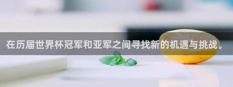 2006世界杯:在历届世界杯冠军和亚军之间寻找新的机遇与挑战。