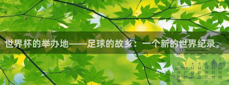 世界杯预选赛排名:世界杯的举办地——足球的故乡:一个新的世界纪录。