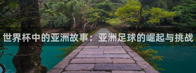 2026年男足世界杯:世界杯中的亚洲故事:亚洲足球的崛起与挑战