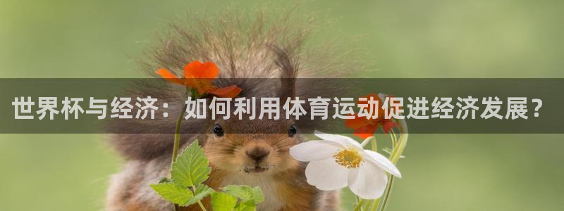 欧洲世预赛赛程表:世界杯与经济:如何利用体育运动促进经济发展?