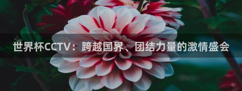 2026世预赛全部赛程:世界杯CCTV:跨越国界、团结力量的激情盛会