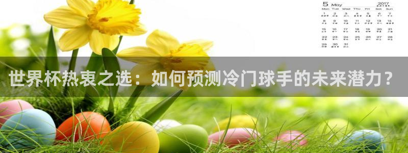 欧洲区世界杯预选赛:世界杯热衷之选:如何预测冷门球手的未来潜力?