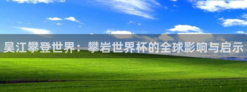 2006年世界杯:吴江攀登世界:攀岩世界杯的全球影响与启示