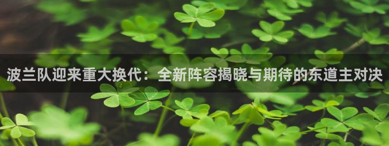 世界杯比赛:波兰队迎来重大换代:全新阵容揭晓与期待的东道主对决